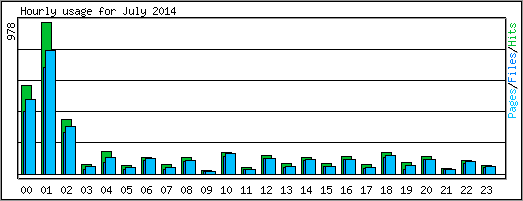 Hourly usage