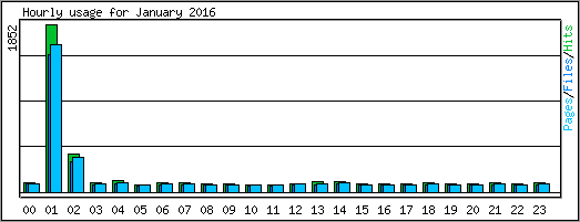 Hourly usage