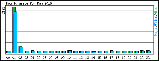 Hourly usage