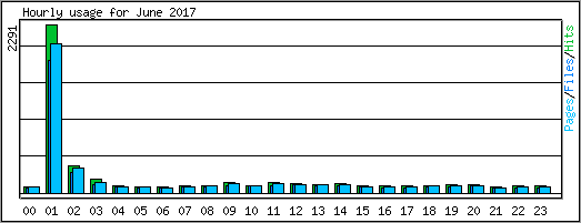 Hourly usage